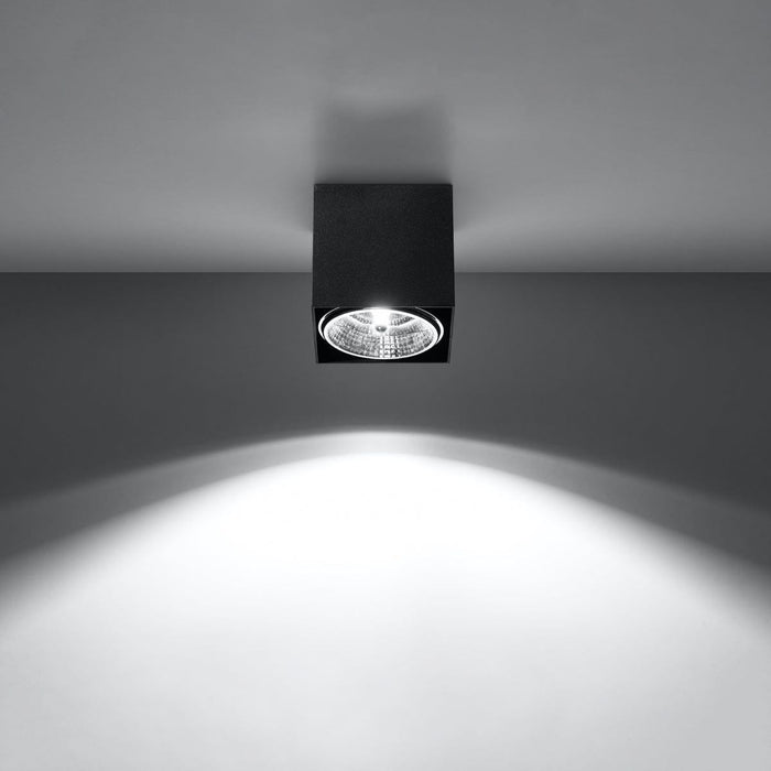 Ceiling lamp BLAKE black - Green4Life
