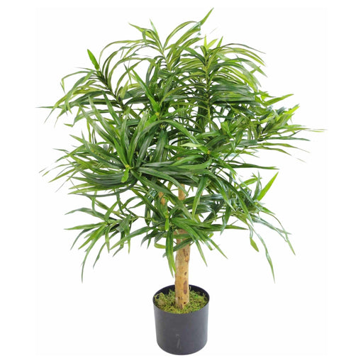 100cm Artificial Dracaena Tree with Pot – Premium Collection - Green4Life