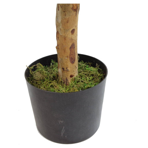 100cm Artificial Dracaena Tree with Pot – Premium Collection - Green4Life