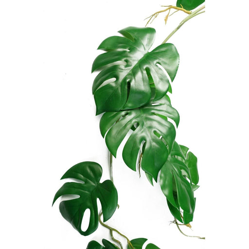 100cm Artificial Hanging Trailing Monstera Plant - Green4Life