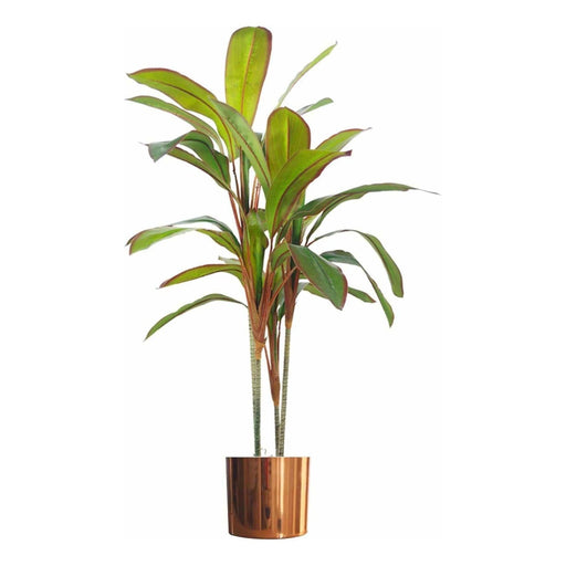 100cm Artificial Potted Dracaena Tropical Plant with Copper Metal Plater - Green4Life