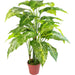 100cm Large Fox’s Aglaonema (Spotted Evergreen) Tree Artificial Plant with Gold Metal Planter - Green4Life