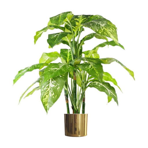 100cm Large Fox’s Aglaonema (Spotted Evergreen) Tree Artificial Plant with Gold Metal Planter - Green4Life