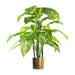 100cm Large Fox’s Aglaonema (Spotted Evergreen) Tree Artificial Plant with Gold Metal Planter - Green4Life