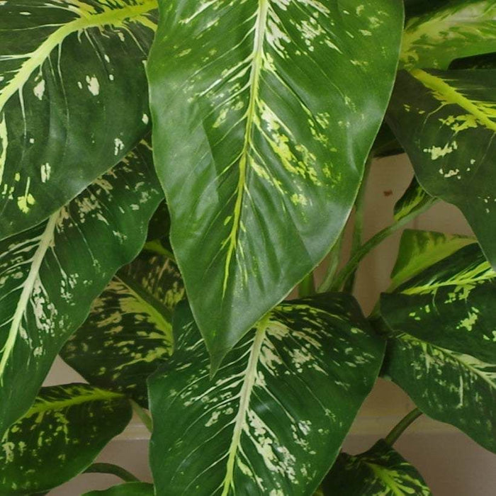 100cm Large Fox’s Aglaonema (Spotted Evergreen) Tree Artificial Plant with Gold Metal Planter - Green4Life