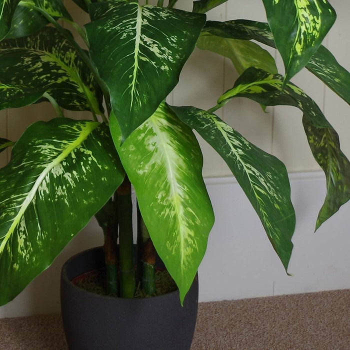 100cm Large Fox’s Aglaonema (Spotted Evergreen) Tree Artificial Plant with Gold Metal Planter - Green4Life