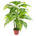 100cm Large Fox's Aglaonema (Spotted Evergreen) Tree Artificial Plant with Silver Metal Planter - Green4Life