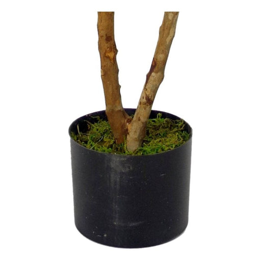 100cm Luxury Artificial Mini Ruscus Tree – Premium Collection - Green4Life