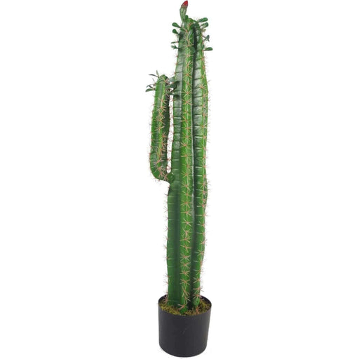 100cm Premium Artificial Cactus with pot - Green4Life