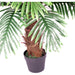 100cm Princess Artificial Palm Tree with Brown Trunk - Green4Life