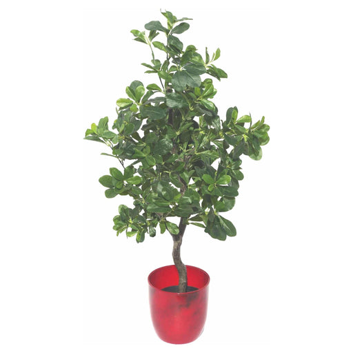 102cm Geranium Aralia (Polyscias Guilfoylei) Artificial Plant Tree - Green4Life