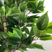 110cm Artificial Evergreen Ficus Tree Gold Planter - Green4Life