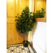 110cm Artificial Evergreen Twist Ficus Tree - Green4Life