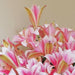 12 x 60cm Artificial Lily Stem Pink (144 Flowers) - Green4Life