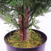 120cm Artificial Cypress Topiary - Green4Life