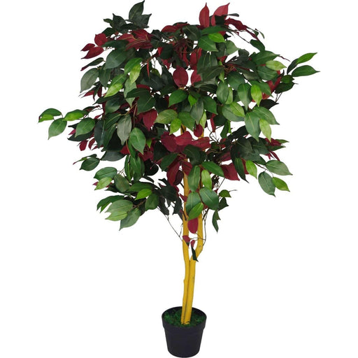 120cm Capensia Artificial Tree – XL - Green4Life