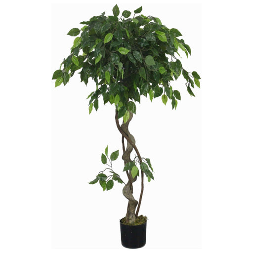 120cm Japanese Fruticosa Twisted Artificial Ficus Tree - Green4Life