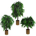 120cm Mango Tree Artificial Plant - Large - Green4Life