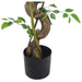 120cm Twisted Trunk Artificial Japanese Fruticosa Style Ficus Tree - Green4Life