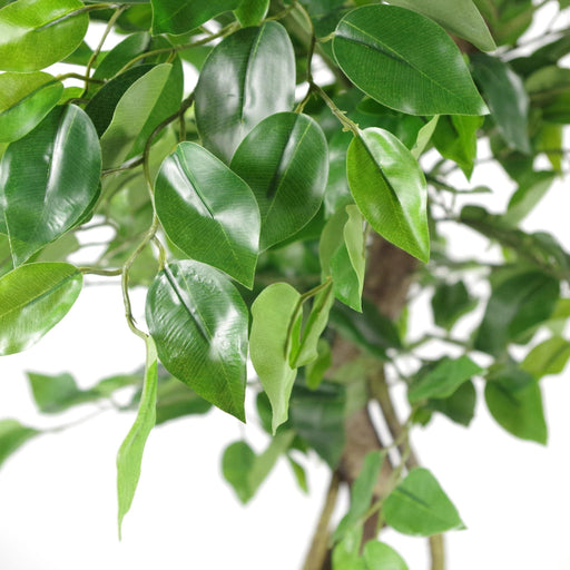 120cm Twisted Trunk Artificial Japanese Fruticosa Style Ficus Tree With Silver Metal Planter - Green4Life