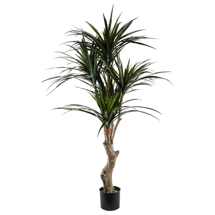 120cm UV Resistant Yucca Tree - Green4Life