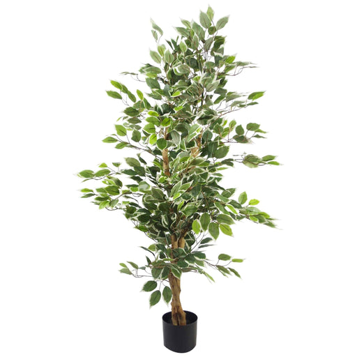 130cm Variegated White/Green Bushy Artificial Ficus Tree - Green4Life