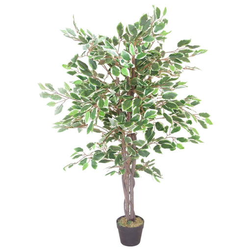 130cm White Edge Ficus Artificial Tree - Large - Green4Life
