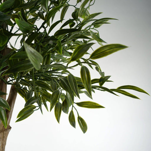 140cm UV Resistant Ruscus Tree - Green4Life