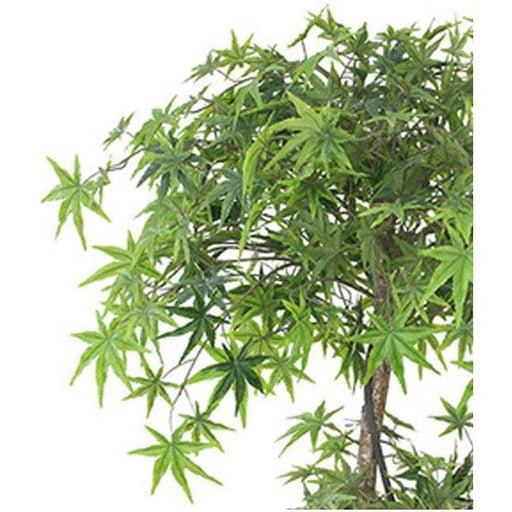 150cm Artificial Japanese Maple Tree - Green4Life