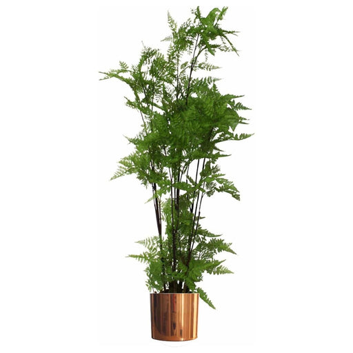 150cm Artificial Natural Moss Base Fern Foliage Plant with Copper Metal Plater - Green4Life