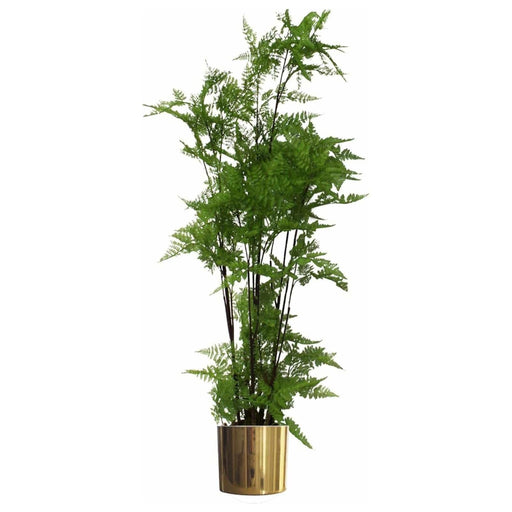 150cm Artificial Natural Moss Base Fern Foliage Plant with Gold Metal Planter - Green4Life