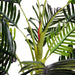 150cm Artificial Palm Tree - Outsunny - Green4Life