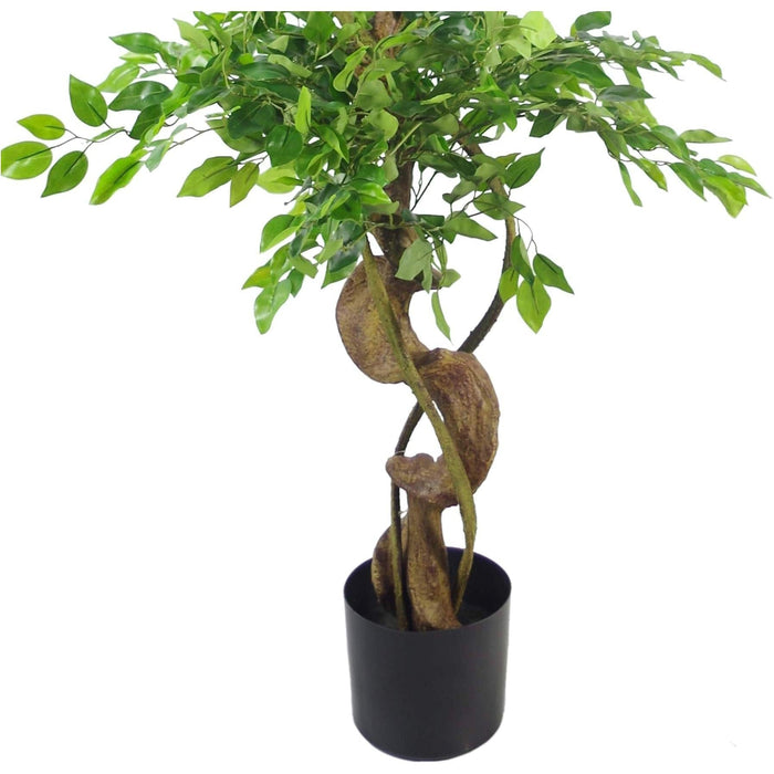 150cm Twisted Trunk Artificial Japanese Fruticosa Ficus Tree Black Planter - Green4Life