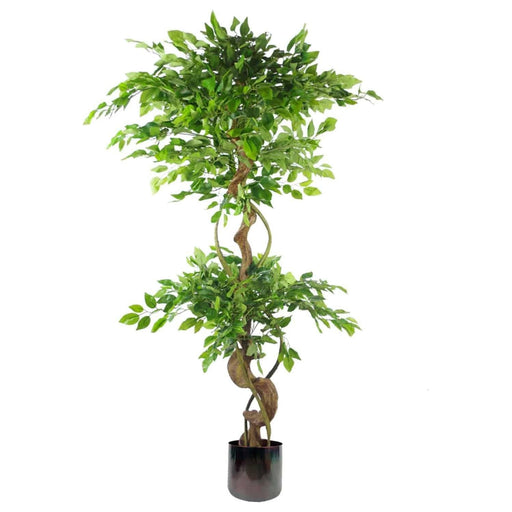 150cm Twisted Trunk Artificial Japanese Fruticosa Ficus Tree Rainbow Metal Planter - Green4Life