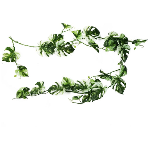 180cm Artificial Hanging Trailing Variegated Monstera Plant - Green4Life