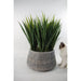 22cm x 37cm Large Grey Gliese Embossed Planter - Green4Life