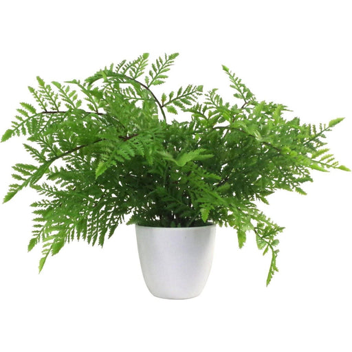 30cm Artificial Potted Southern Wood Fern - Green4Life