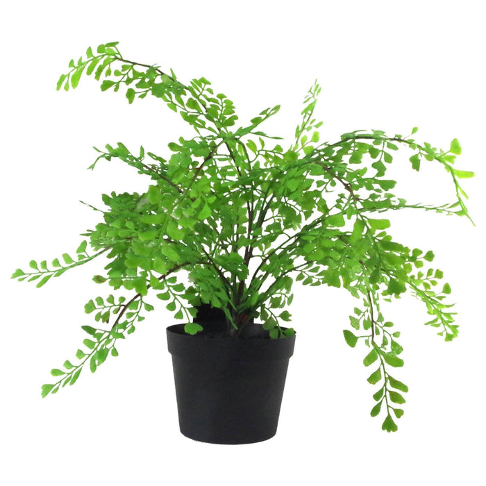 35cm Artificial Potted Fern Plant (Southern Maidenhair Fern) - Green4Life