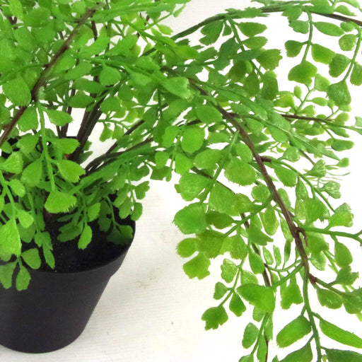 35cm Artificial Potted Fern Plant (Southern Maidenhair Fern) - Green4Life