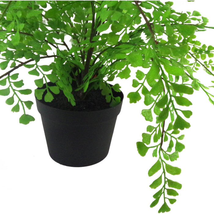 35cm Artificial Potted Fern Plant (Southern Maidenhair Fern) - Green4Life