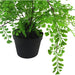 35cm Artificial Potted Fern Plant (Southern Maidenhair Fern) - Green4Life