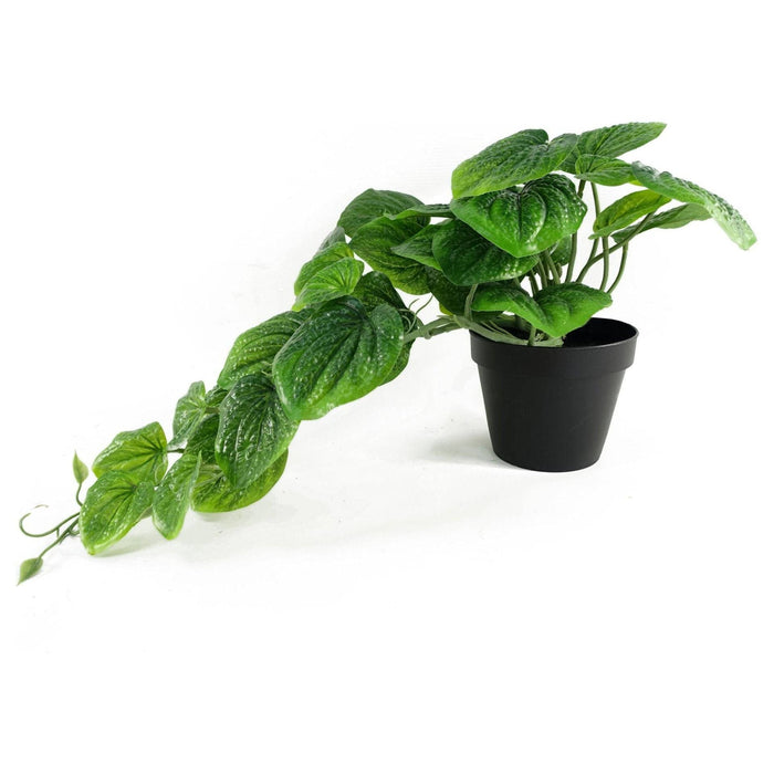 35cm Artificial Trailing Green Potted Pothos Plant - Green4Life