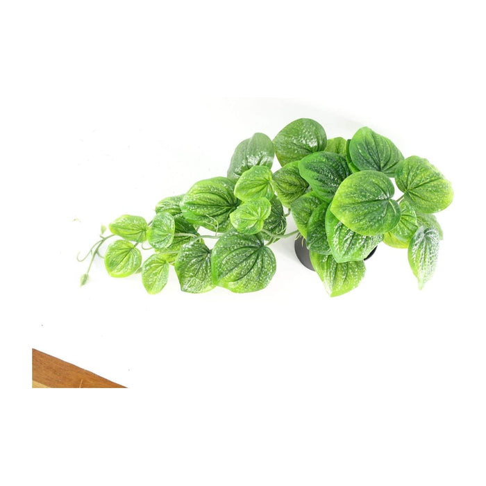 35cm Artificial Trailing Green Potted Pothos Plant - Green4Life