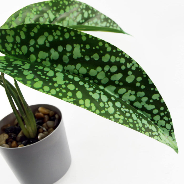 35cm Spotted Artificial Plant in Planter - Green4Life