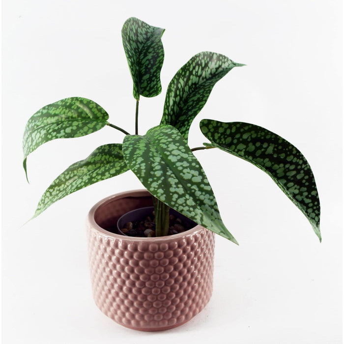 35cm Spotted Artificial Plant in Planter - Green4Life