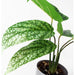 35cm Spotted Artificial Plant in Planter - Green4Life