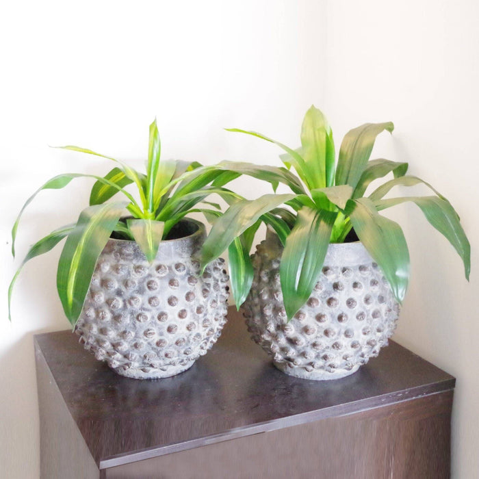 40cm Artificial Dracaena Pot Plant - Variegated Leaves - Green4Life