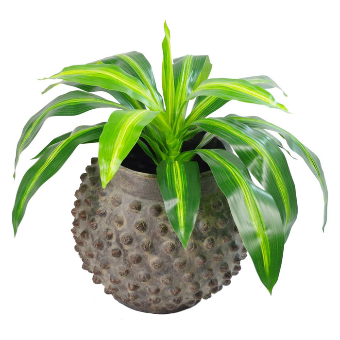 40cm Artificial Dracaena Pot Plant - Variegated Leaves - Green4Life