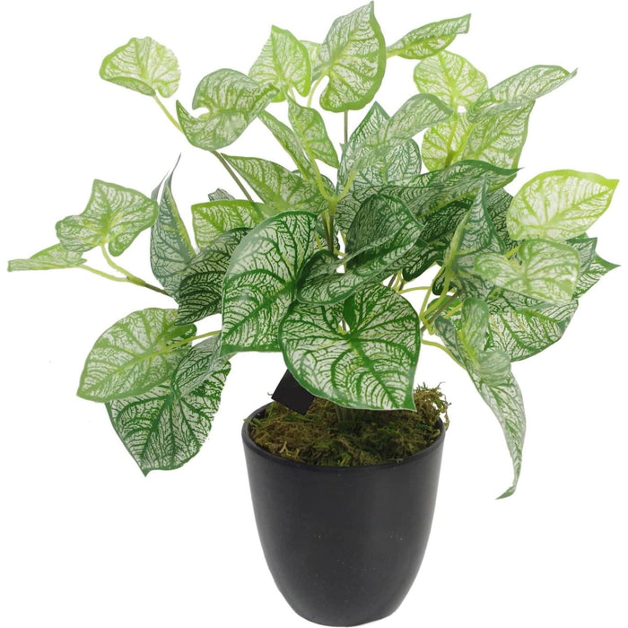 40cm Caladium Artificial Plant with pot - Green4Life