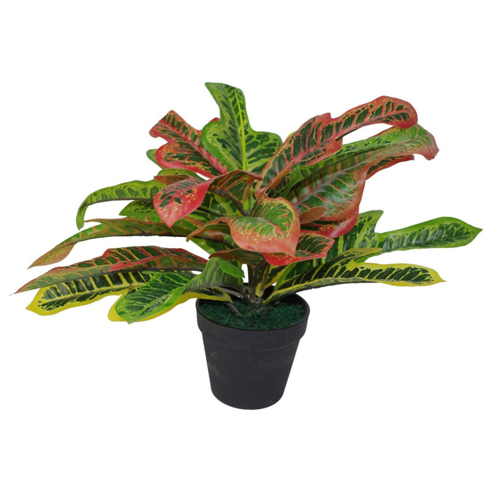 40cm Multicoloured Codiaeum Artificial House Plant - Green4Life